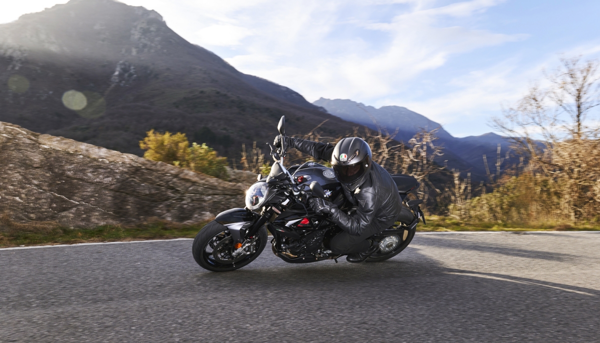 THE NEW BRUTALE FAMILY