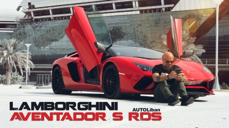 ثور السباق 
